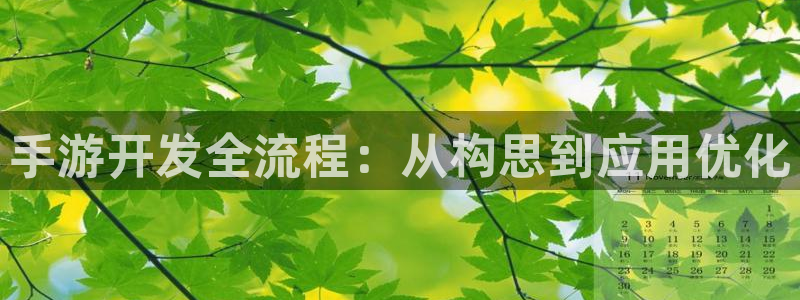 恒盛娱乐登陆：手游开发全流程：从构思到应用优化