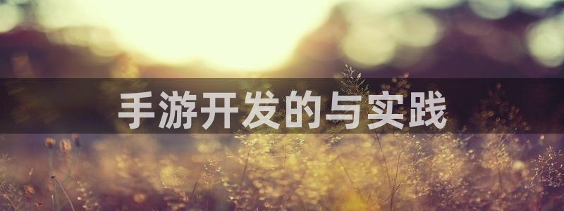 恒盛娱乐登录：手游开发的与实践