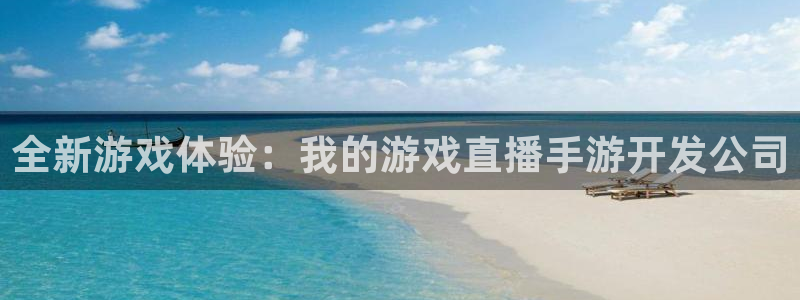 恒盛娱乐登陆：全新游戏体验：我的游戏直播手游开发公司